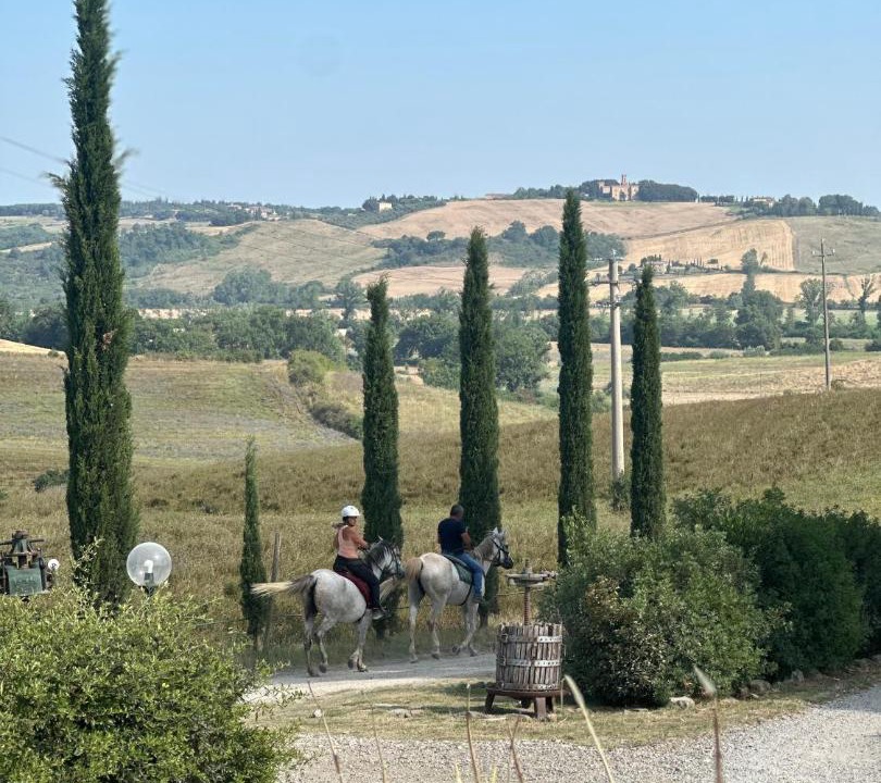 Photo of Others in Montalcino