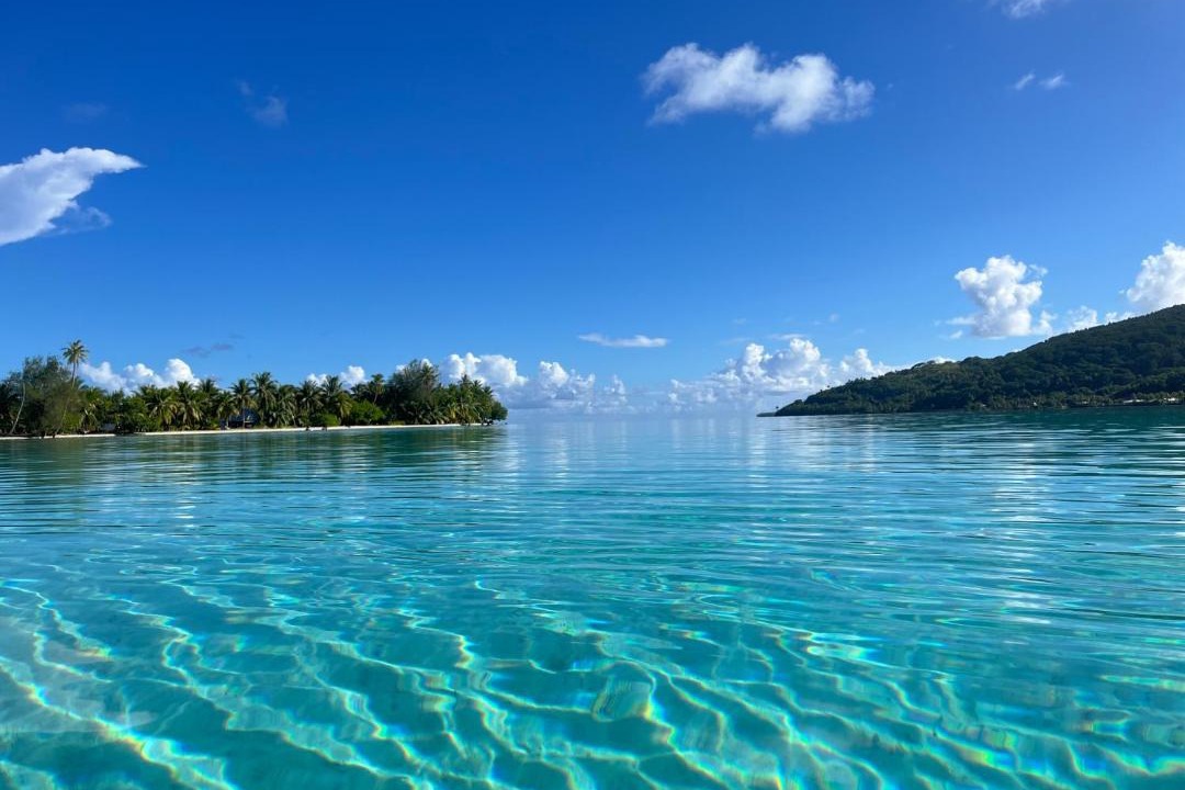 Photo of Others in Huahine
