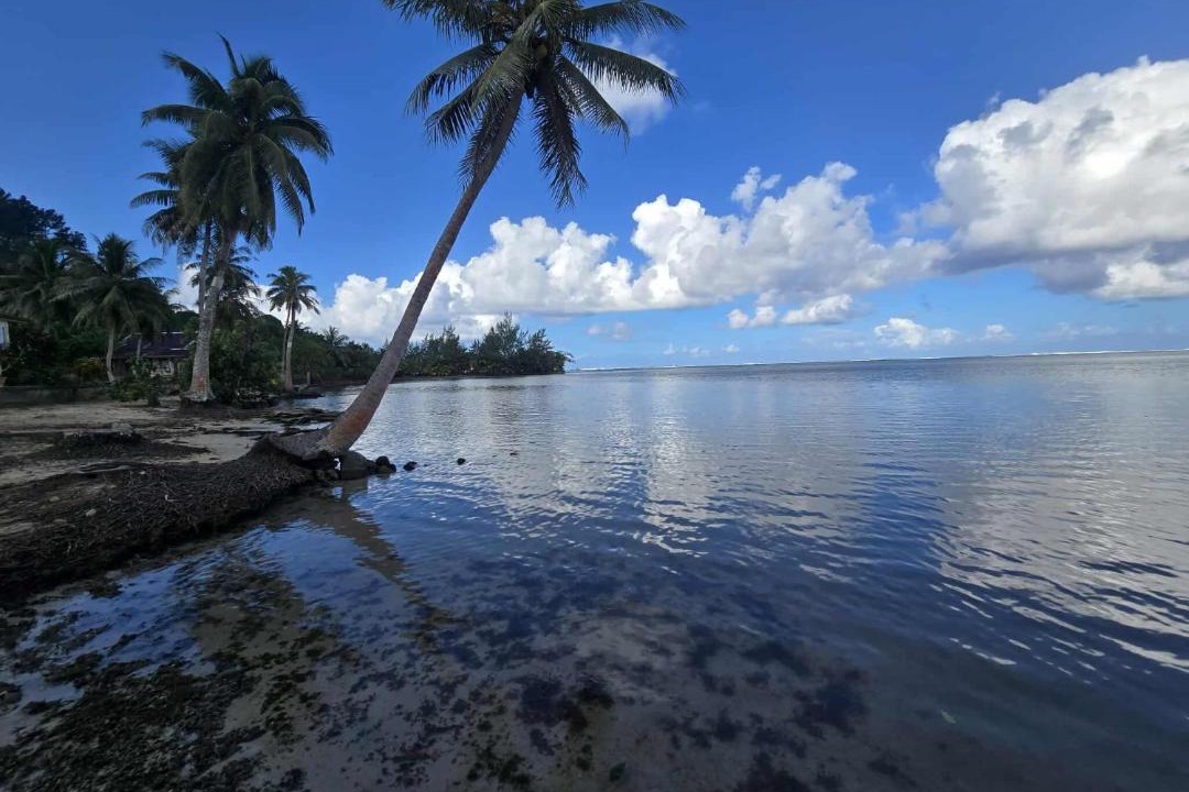Photo of Others in Teahupoo