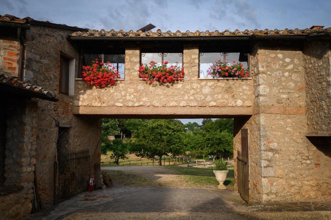 Photo of Others in Simignano