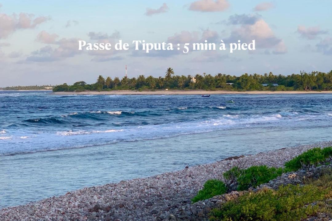 Photo of Others in Tiputa