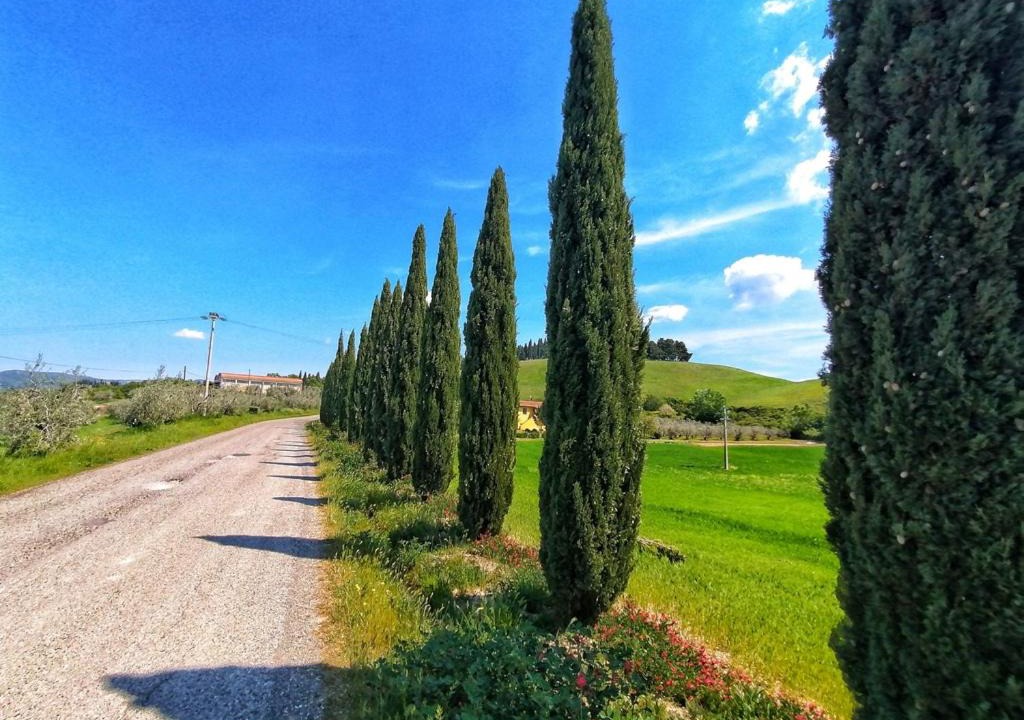 Photo of Others in Volterra