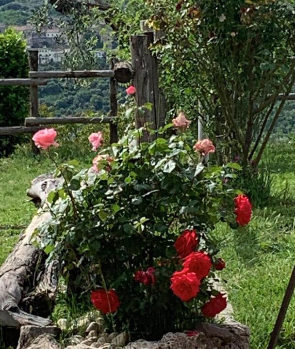 Photo of Others in Castelnuovo di Farfa
