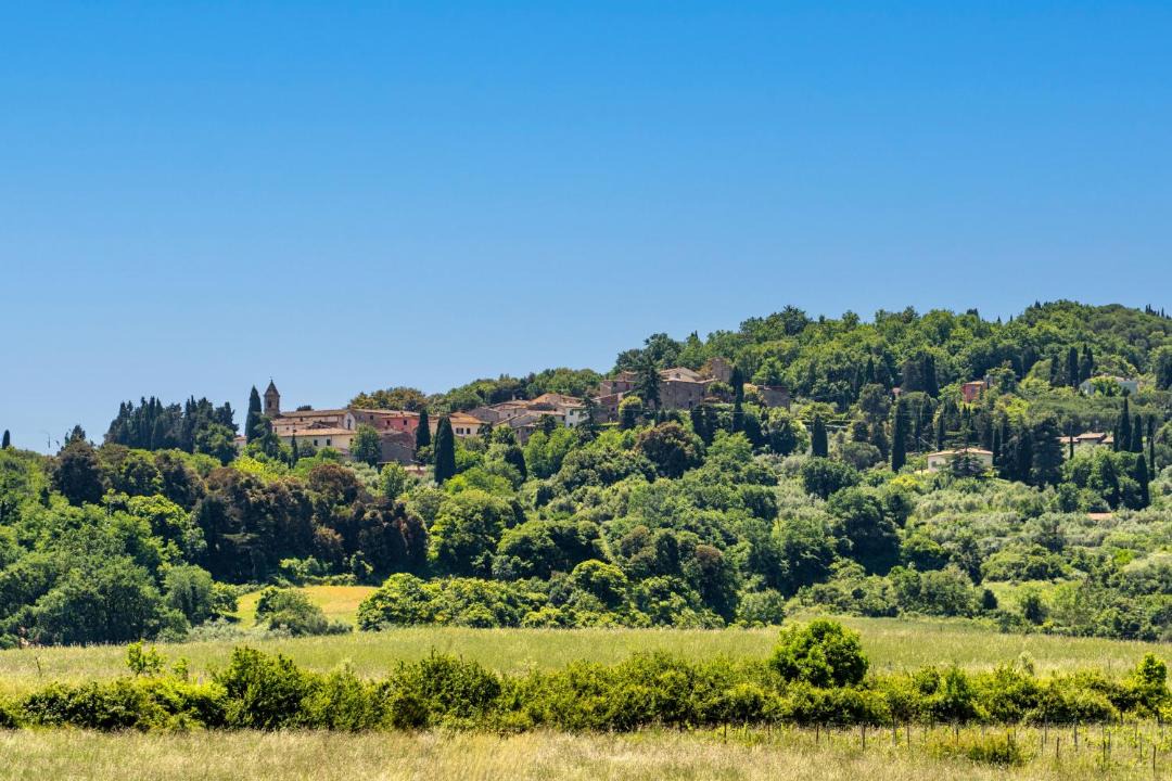 Photo of Others in Orciatico