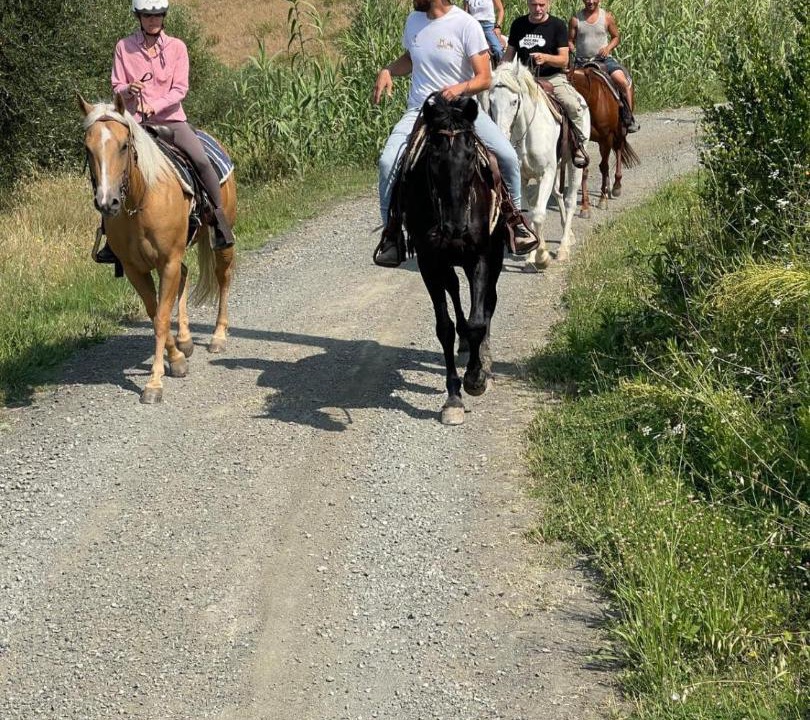 Photo of Others in Montecatini Val di Cecina