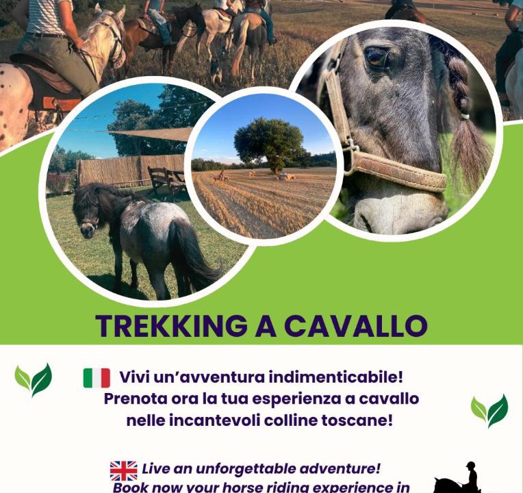 Photo of Others in Montecatini Val di Cecina