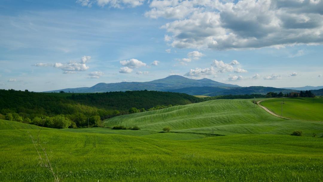 Photo of Others in San Quirico d'Orcia