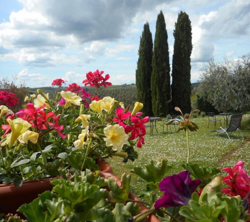 Photo of Others in Barberino Val d'Elsa