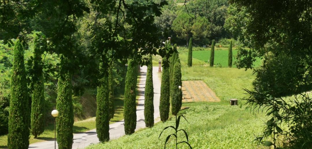 Photo of Others in San Miniato
