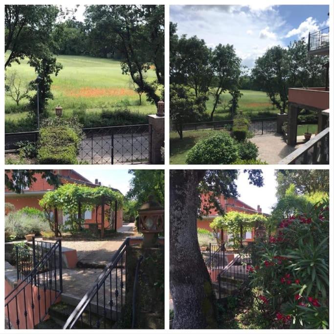 Photo of Patio Balcony in Vasanello