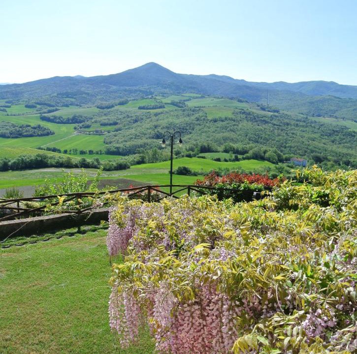 Photo of Others in Montecatini Val di Cecina