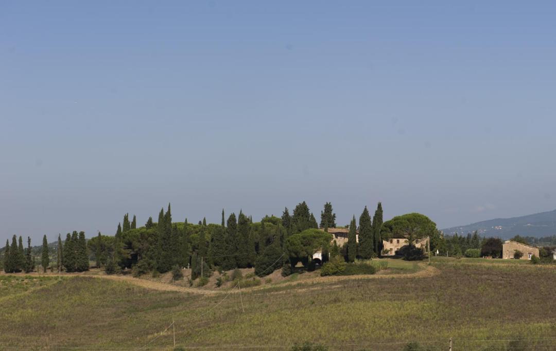 Photo of Others in Scandicci