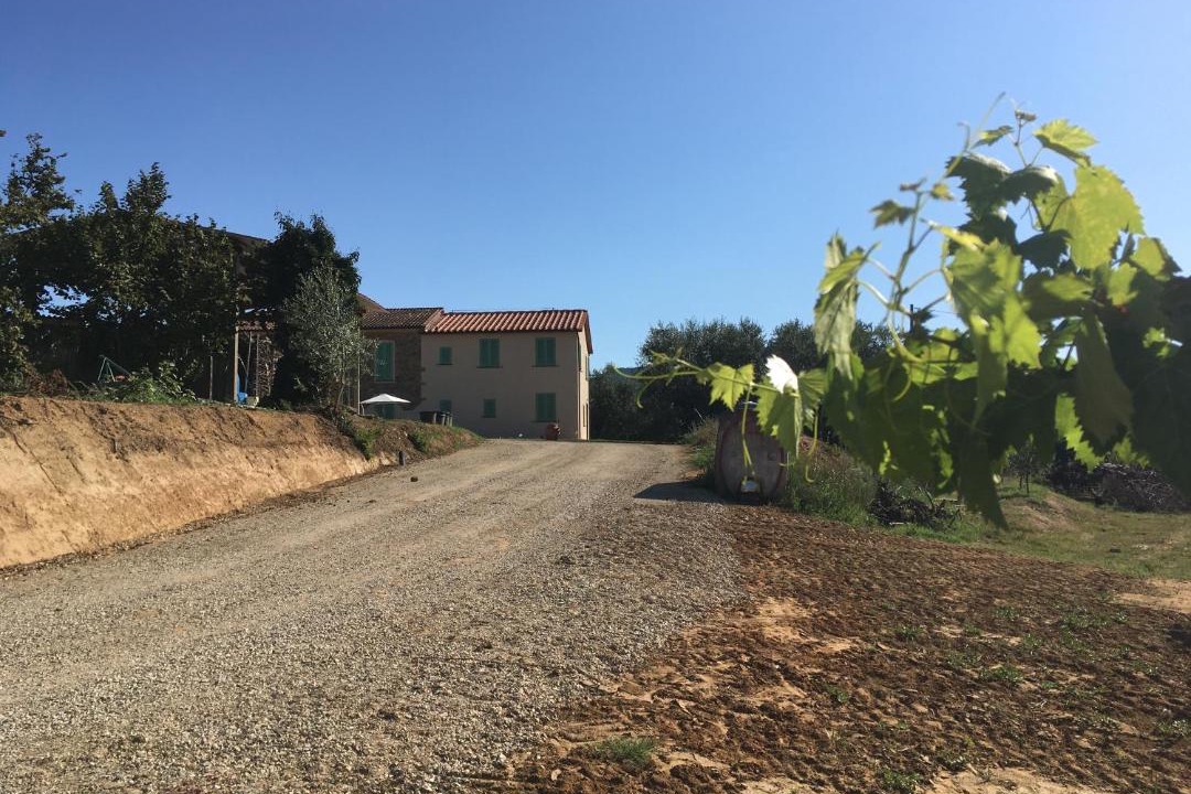 Photo of Others in Larciano