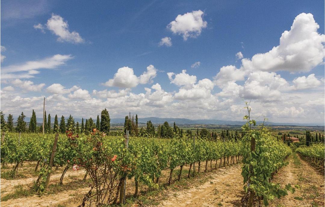 Photo of Others in Tavarnelle Val di Pesa