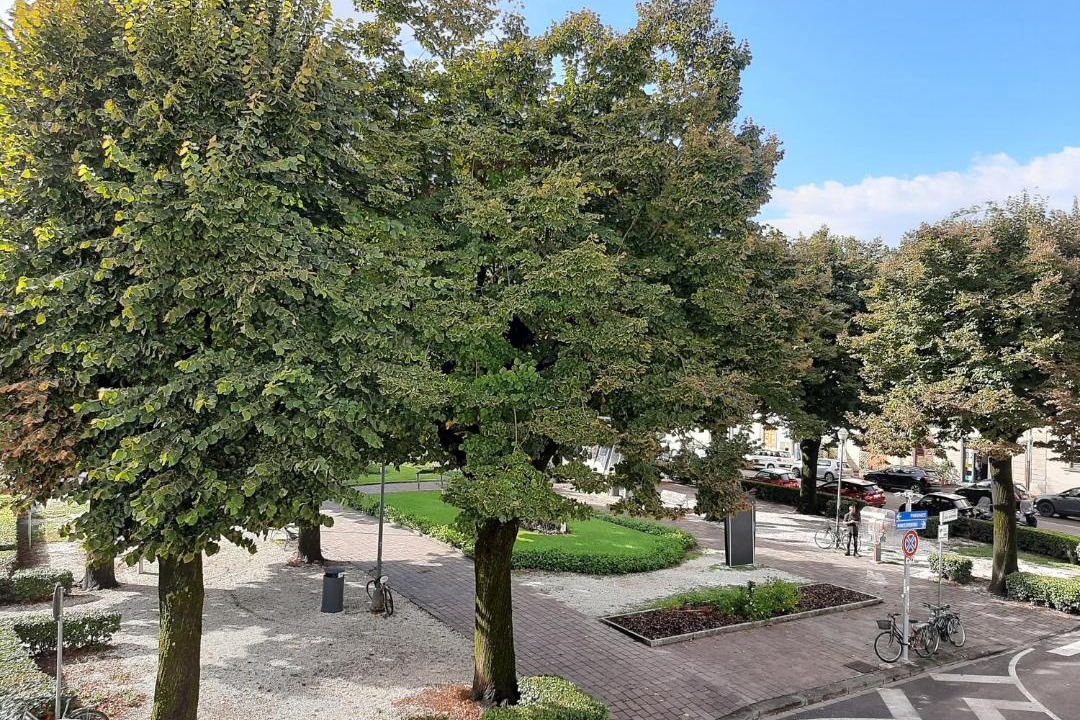 Photo of Others in Empoli