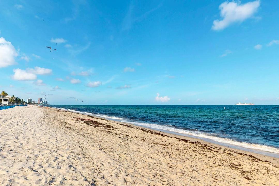 Photo of Outdoor in Central Beach