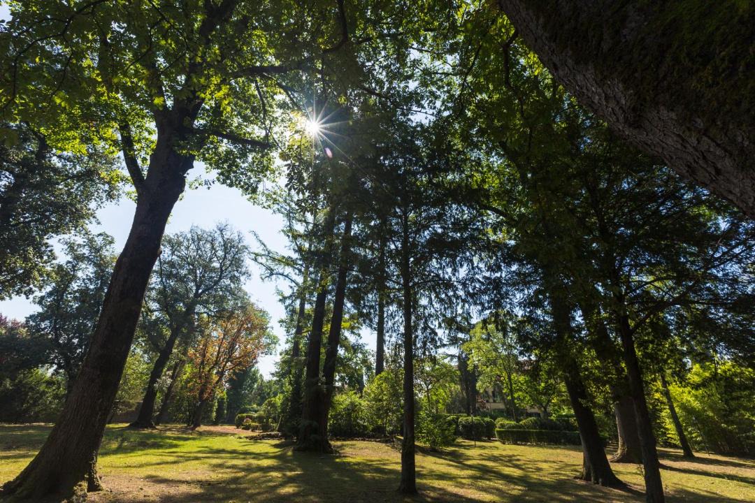 Photo of Outdoor in Sansepolcro