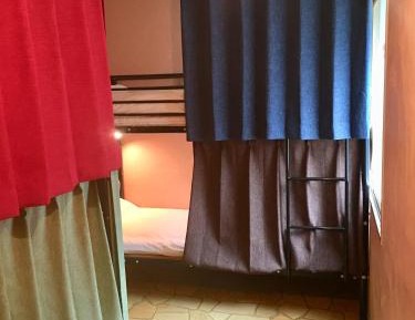 Bunk Bed in Mixed Dormitory Room